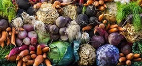 BRCGS Global Standard Food Safety Issue 9 - Site Training