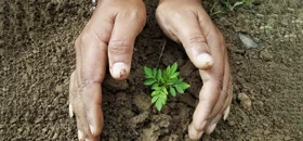 ISO 14001:2015 - Environmental Management System - Introduction eLearning Course
