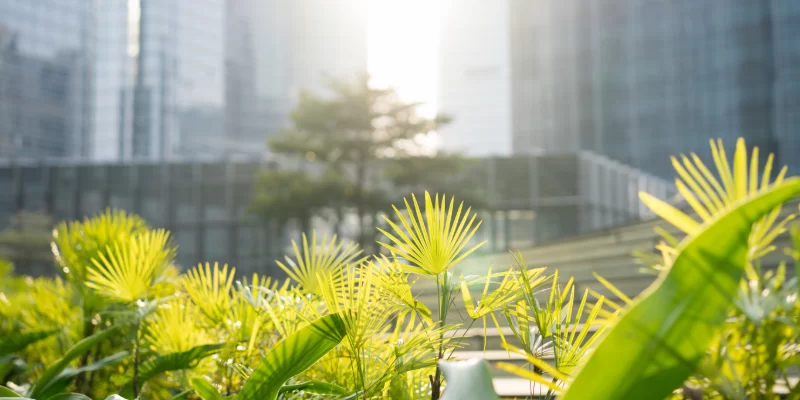 Mastering Modern Sustainability Assurance: Understanding ISSA 5000, HKSSA 5000 and Practical Assurance Methodologies
