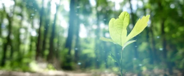 Video: Risk Management for Climate Change - Integrating ESG Strategies