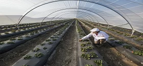 Integration of Sustainability into Existing Practices