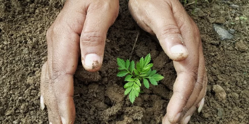 ISO 14001:2026 Environmental Management Systems Internal Auditor Training Course