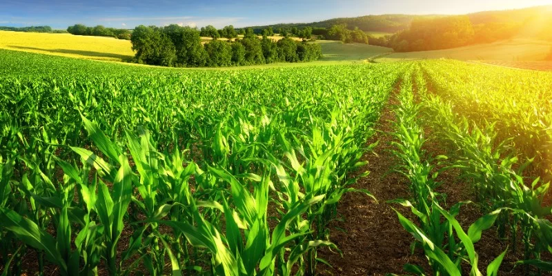 ISO 14001:2026 Environmental Management Systems Introduction Training Course