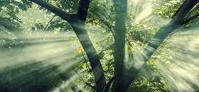 ISO 14064 Greenhouse Gas Lead Verifier Training Course (VILT)