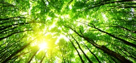ISO 14064 Lead Auditor Greenhouse Gas Lead Verifier Training Course