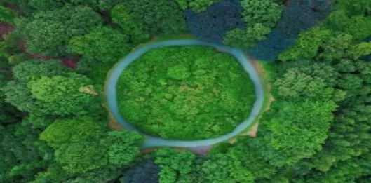 ISO 59020:2024 Circular Economy Training Programme