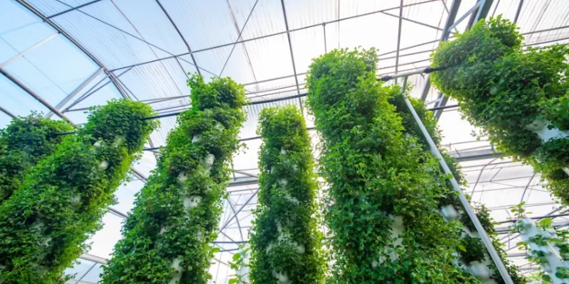 Certificate Course on ISO 14068-1: 2023 - Climate Change Management: Transition to Net Zero—Carbon Neutrality