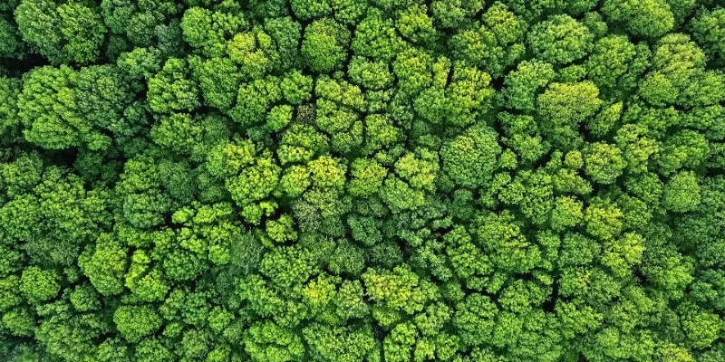 ISO 14064 -1, ISO 14064-2 & ISO 14064-3 Greenhouse Gas Accounting (GHG) Lead Verifier / Lead Validator Training Course V2.0
