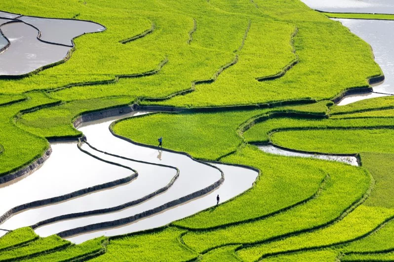 ISO 14001:2015 Environmental Management System Awareness Course