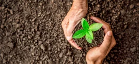 ISO 14001:2015 - Environmental Management Systems - eLearning Bundle