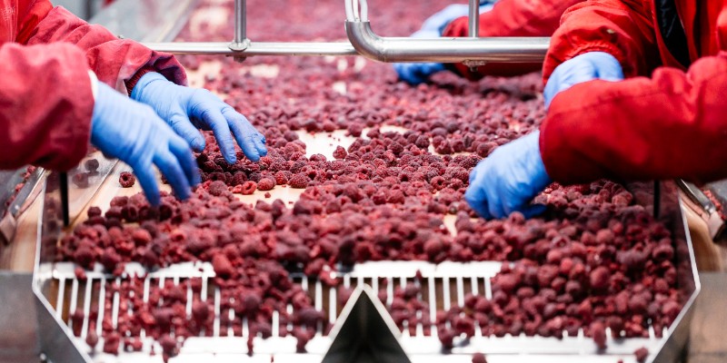 BRCGS - Vulnerability Assessment for Food Fraud