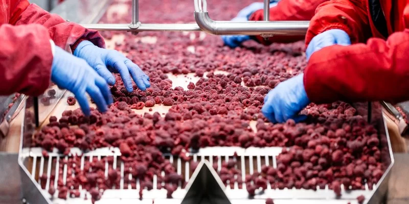 BRCGS - Vulnerability Assessment for Food Fraud