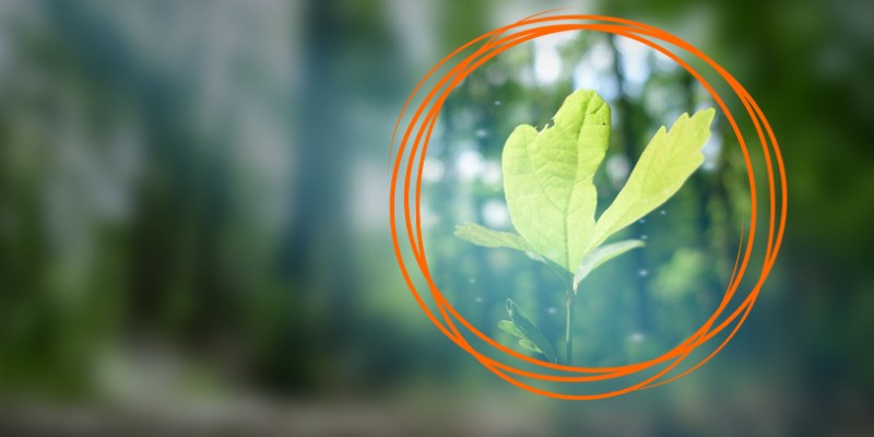 ISO 14064 Greenhouse Gas Lead Verifier Training Course (CVILT)