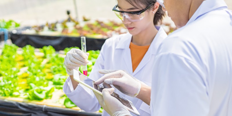 Food Safety Environmental Monitoring Programme Training Course