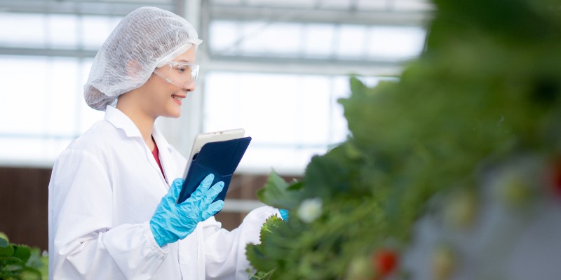 Root Cause Analysis in the Food Industry