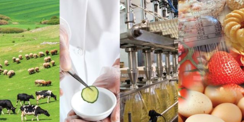 FSMA 204 Traceability Final Rule - Introduction and Implementation Training Course (CVILT)