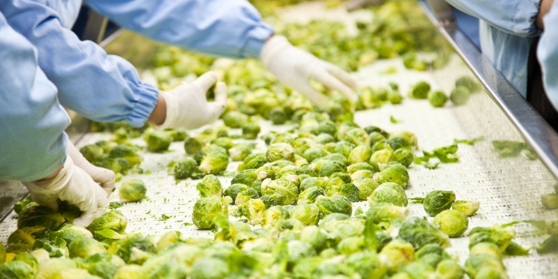 FSSC 22000 V7 Food Safety System Certification Introduction Training Course