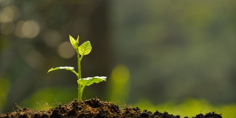 ISO 14001:2026 Environmental Management Systems Transition Training Course