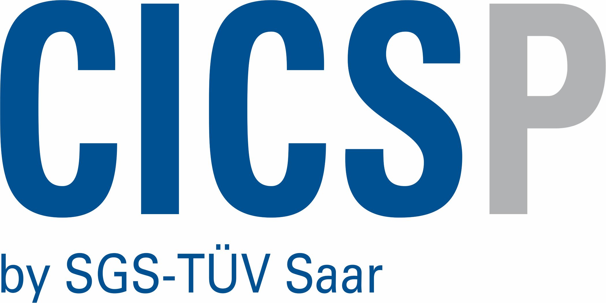 Personen-Qualifizierungsprogramm Security for Safety (CICSP)