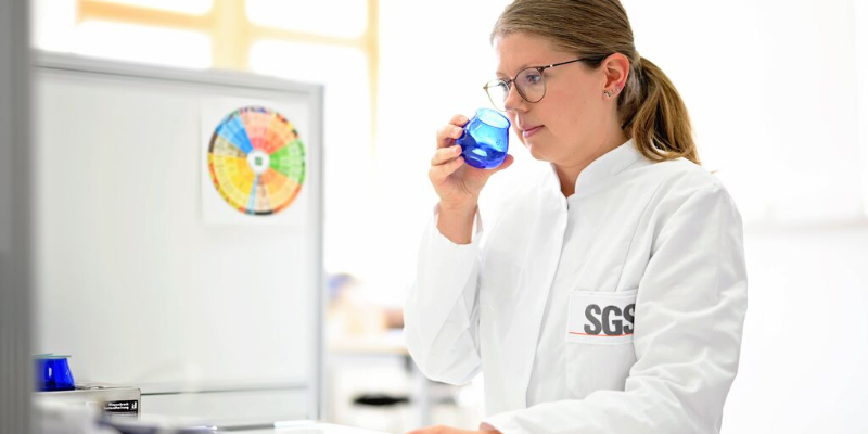 Grundlagenseminar: Sensorik von Lebensmitteln