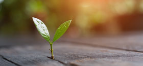 ISO 14001:2015 - Environmental Management System - Internal Auditor eLearning Course