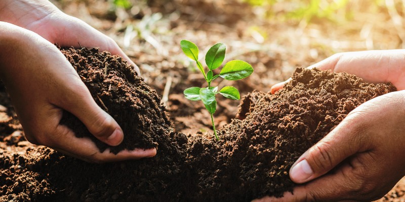 ISO 14001:2026 - Schulung zum Beauftragten für Umweltmanagementsysteme (Modul 2)