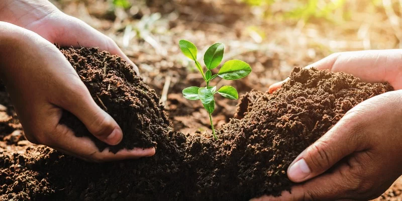 ISO 14001:2026 - Schulung zum Beauftragten für Umweltmanagementsysteme (Modul 2)