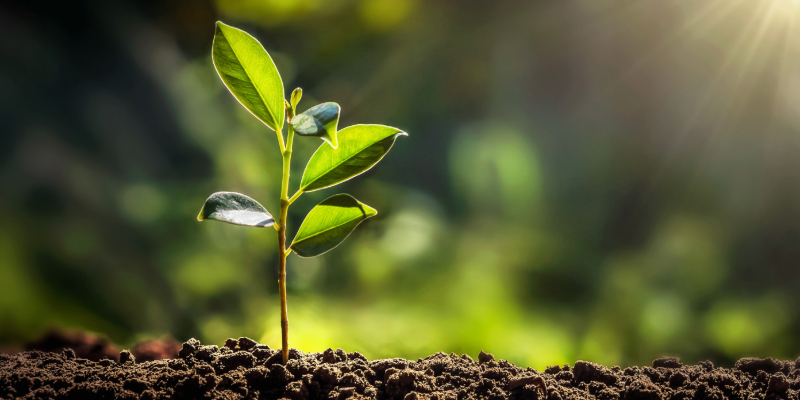 ISO 14001:2026 Transition Training eLearning Course