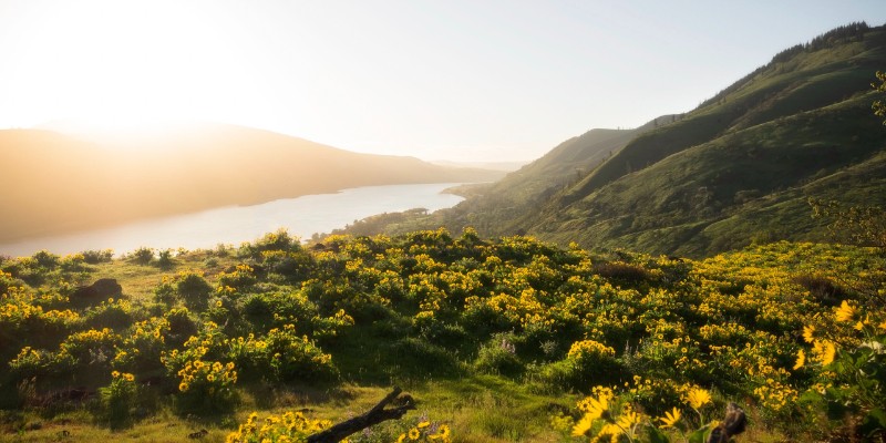 Chain of Custody for Forest Products Requirement