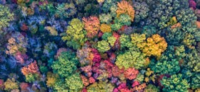 Empowering Communities: Introducing ESG Reporting with GRI Framework on Social and Human Rights Issues