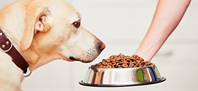 FSPCA Preventive Controls for Animal Food