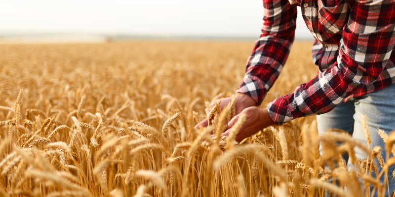 Refresher Training Program (Update 2025) for FSMA Regulation: Preventive Control for Human Food (21 CFR Part 117)