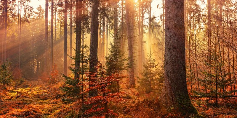 ISO 14001:2026 - Environmental Management Systems - Internal Auditor Training Course