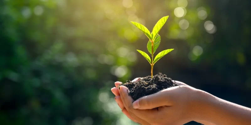 ISO 14001:2026 Documented Information (Live Online Training)