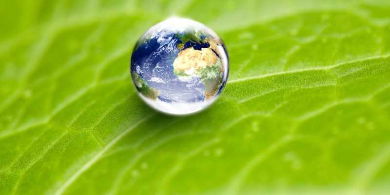 Basic requirement for ISO 14001:2015