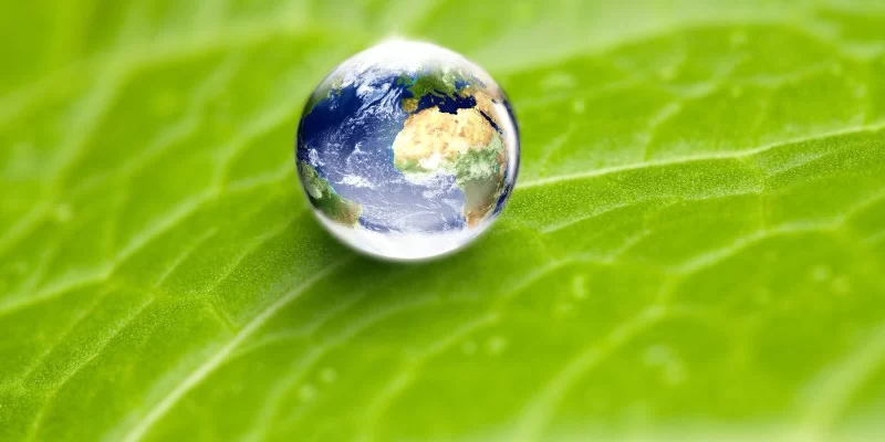 Basic requirement for ISO 14001:2015
