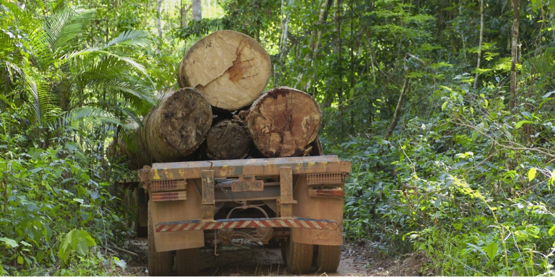 Introduction to European Union Deforestation Regulation (EUDR) Training Course