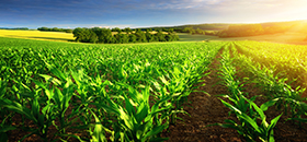 ISO 14001:2015 - Environmental Management System - Introduction eLearning Course