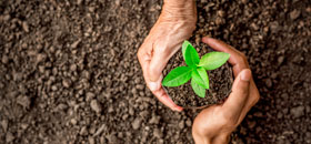 ISO 14001:2015 - Environmental Management Systems - eLearning Bundle