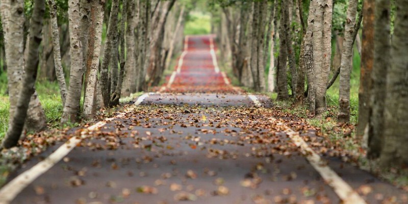 ISO 14001:2026 - Environmental Management Systems - Introduction Training Course