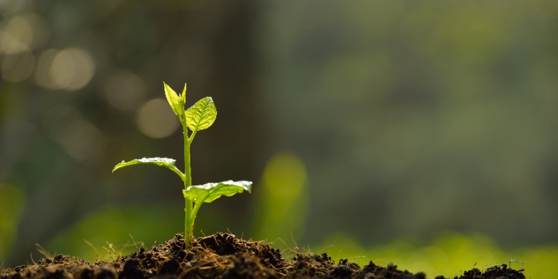 ISO 14001:2026 Implementation: Environmental Management Systems Training Course