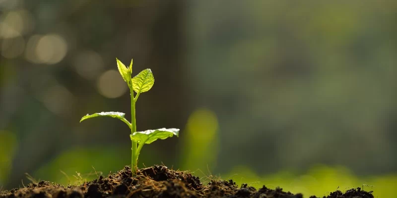 ISO 14001:2026 Transition Training Course