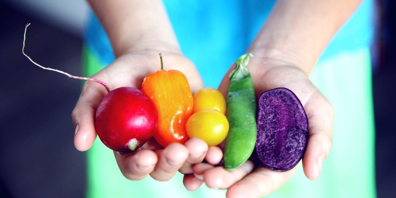 PCQI - Preventive Control Qualified Individual Human Food Training Course (CVILT)